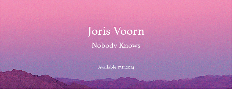 'Nobody Knows', obra de arte de Joris Voorn