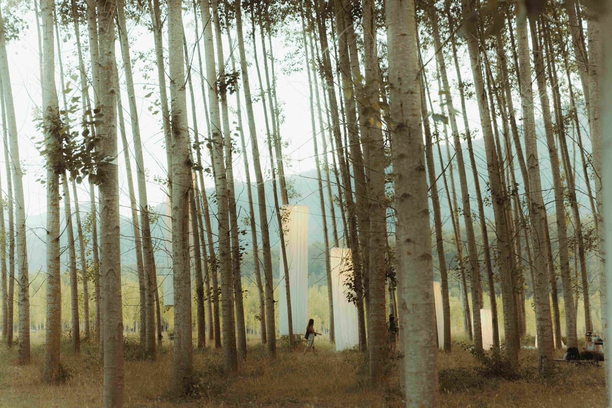 El festival Rizomes une un año más música, arquitectura efímera y artes visuales