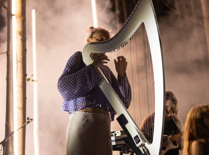 Festival Rizomes, Girona