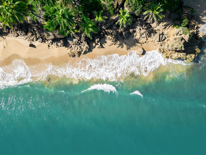 Cartel completo en The 5th Element Festival